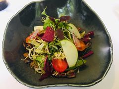 -蝶舍·MAISON PAPILLON