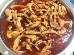 -老红桥炸灌肠牛肚锅烧烤(定福庄店)