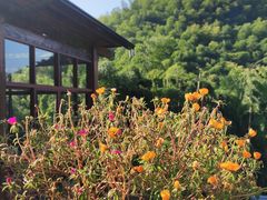 -藏龙百瀑风景区