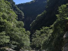 -秦岭风景区
