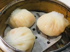 -糖朝(尖沙咀店)