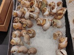 -顺德联塑万怡酒店·万荟轩自助餐厅