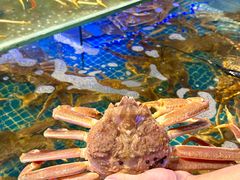 -驻海渔市(置信店)