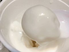 -洪馨椰子
