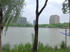 -南翔镇银翔湖公园