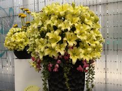 -上海鲜花港