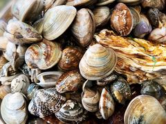 海鲜大咖-晓伟海鲜家常菜