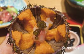 Signature Single Sea Urchin Sashimi
