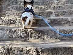 -青州市云门山风景区