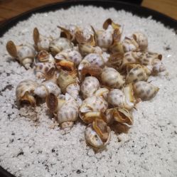 -惠食佳·宴会厅(滨江西路店)