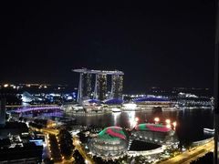 -新加坡瑞士史丹福酒店