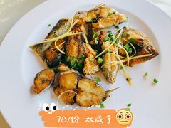 马鲛鱼-哈味食店(外伶仃岛店)