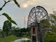 -王借岗森林公园