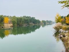 -马家湾湿地公园