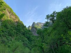 -黑河国家森林公园