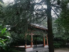 -杭州半山国家森林公园