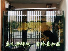 -茶庐(百花洲路店)