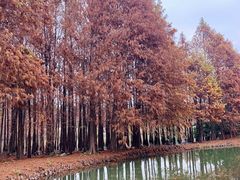 -厦门园林博览苑