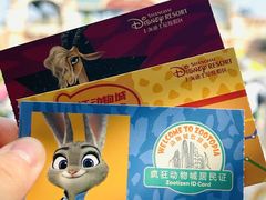 -上海迪士尼度假区