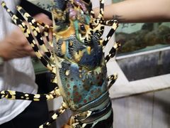 -海盗餐厅