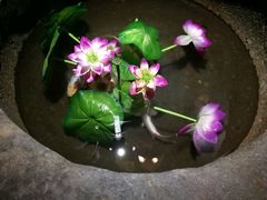 -爱啤精酿·民谣酒馆(滨江店)