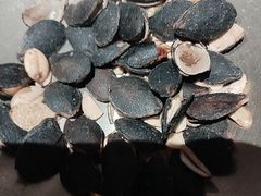 -锦荟JINHUI·浙江小馆(上海荟聚店)