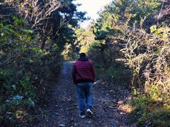 -樱桃山旅游景区