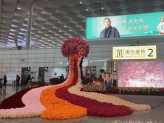 -郑州新郑国际机场-T2航站楼
