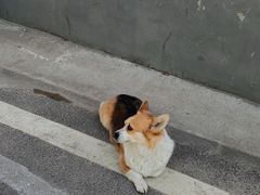 -辛庄国际文化艺术区