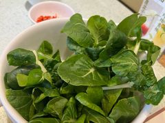 -烹然四季椰子鸡火锅(团结湖总店)