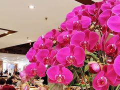 -明珠海港大酒店
