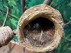 -Zoolung Zoolung动物主题公园(海信广场店)