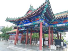 -莲花池公园