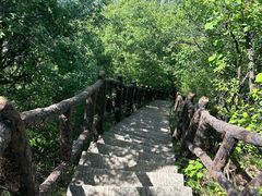 -秦岭终南山世界地质公园翠华山景区