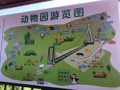 -西霞口神雕山野生动物世界