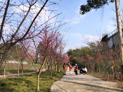 -三圣花乡旅游区