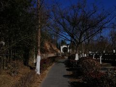 -竹子庵公园