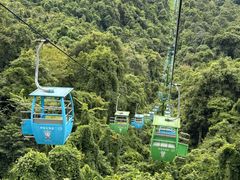 -野象谷景区