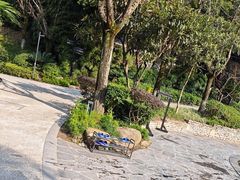 -融汇温泉