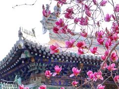 -潭柘寺景区