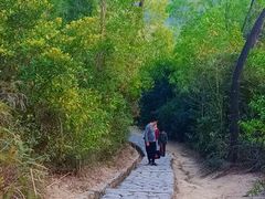 -普陀寺