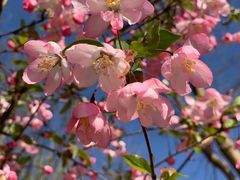 -远洋未来广场(育慧北路店)