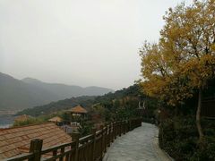 -徂徕山森林康养度假谷温泉