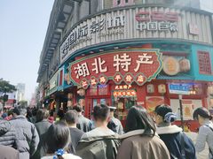 -武汉长江大桥
