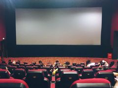 -AMG海上明珠影城(上海环球港RealDCinema店)