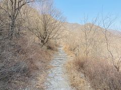 -阳台山自然风景区