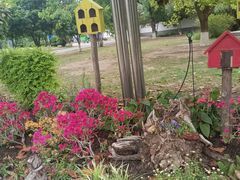 -祥源·阜阳生态乐园