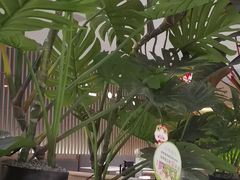 -漫咖啡 (CCPAPK创意港店)