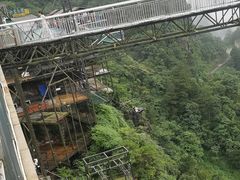-梦幻奥陶纪景区