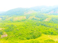 -塞罕坝国家级自然保护区